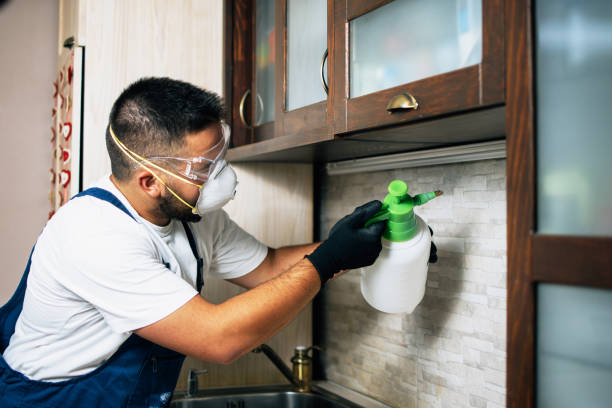 Best Rat Extermination Near Me  in North Browning, MT