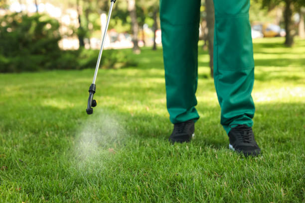 Best Bed Bug Extermination  in North Browning, MT